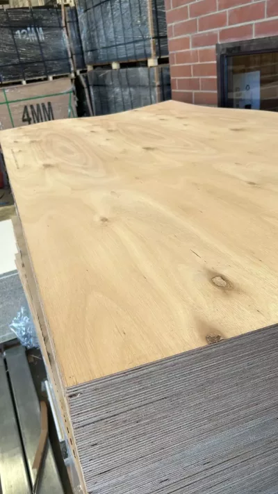 F22 bracing 920 x 2740 4mm